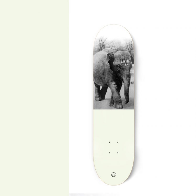 pop skateboard olifant
